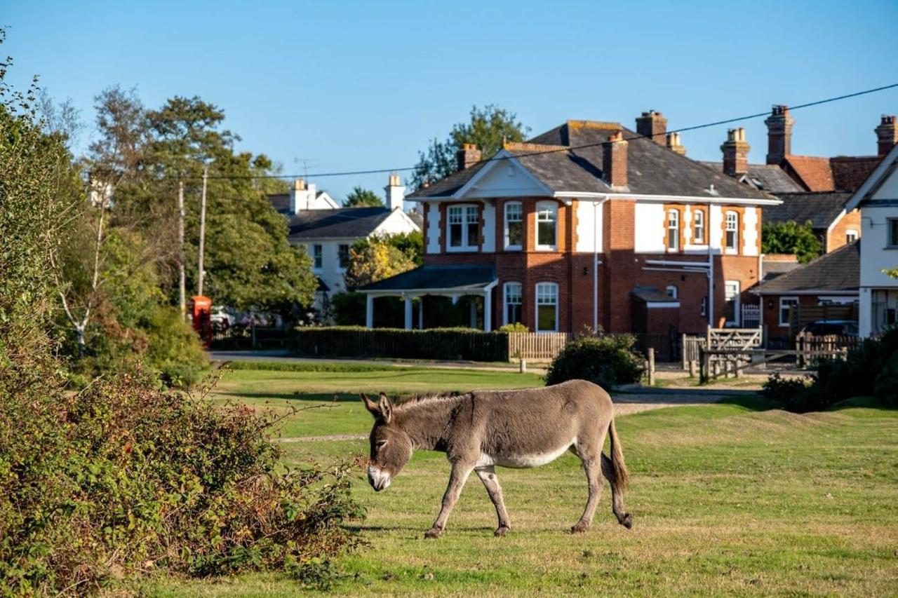 Surrey Lodge بروكينهورْسْتْ المظهر الخارجي الصورة